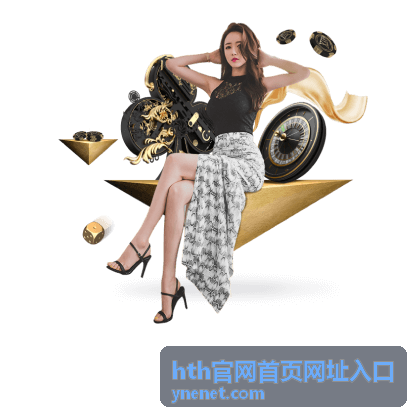 hth官网首页网址入口自查流程示意